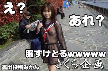 露出狂 公園をシースルーのセーラー服で散歩して花見客達を魅了する女の子 動画エロタレスト