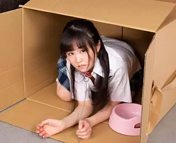 ＪＫ監禁恥辱 ＶＲ！「その箱がお前の家だ！」極上の若き雌をさらい、段ボールに拘束し監禁する&hellip;